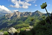 85 Scendendo dal Passo di Lemma sul sent. 116 vista sulla conca di San Simone-Baita del Camoscio con Cavallo-Pegherolo